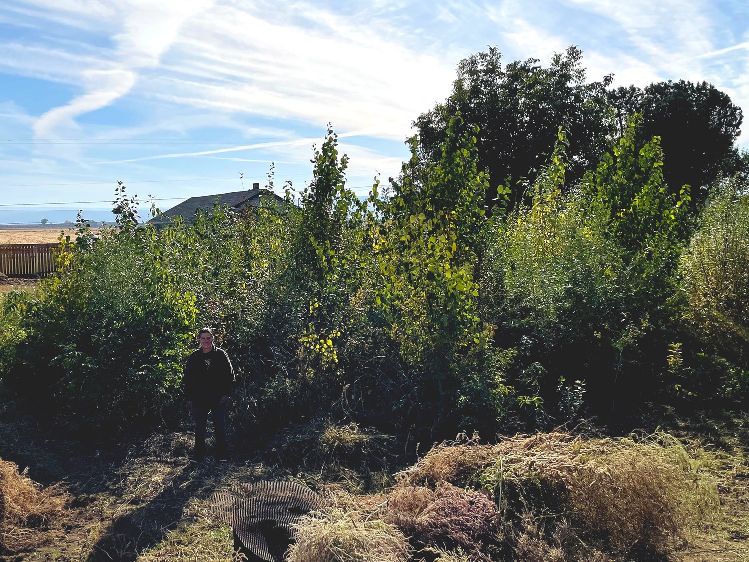 person stands in front of a tall green forest