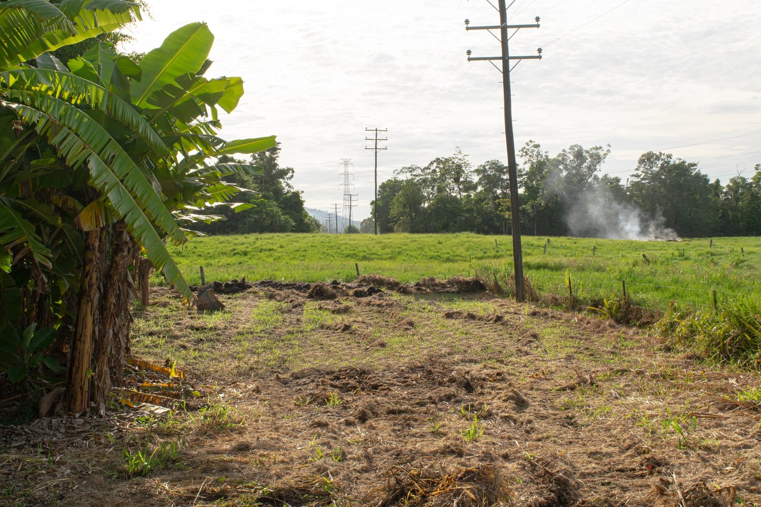 a dirt field with trees around