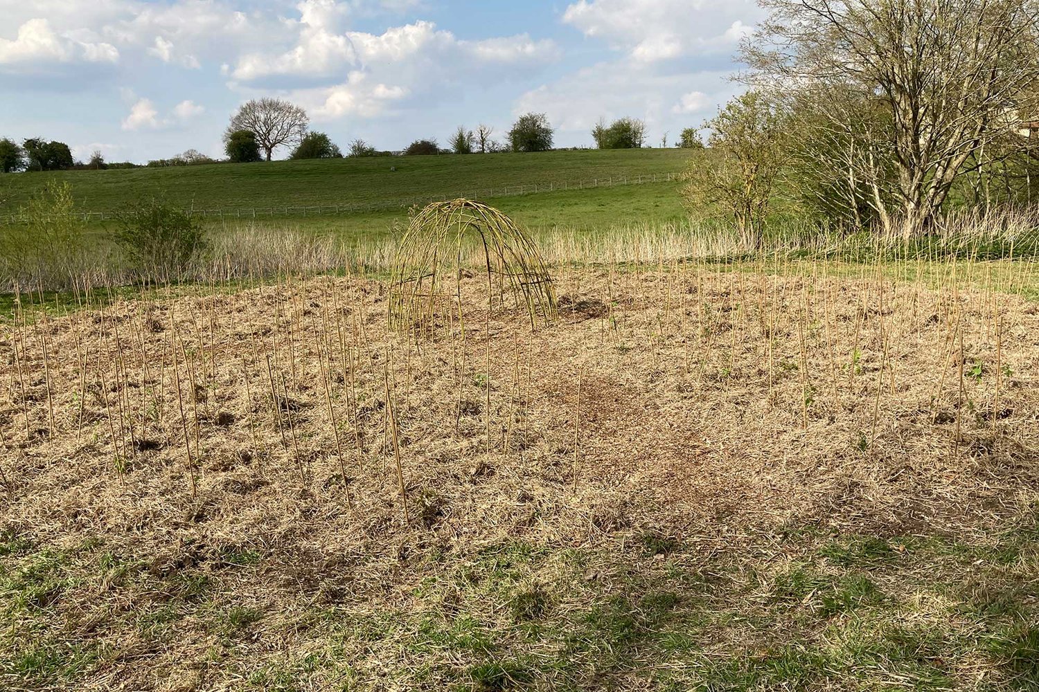 open field