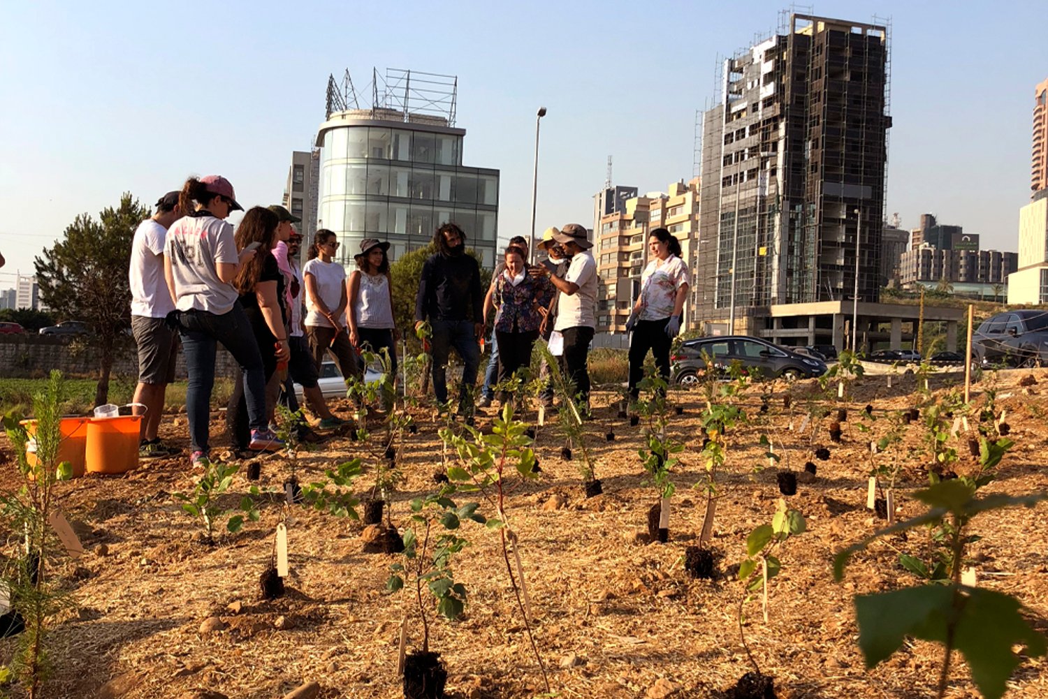 Community planting trees by a river and highway