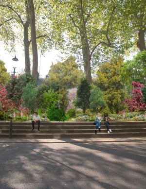 sustainability projects Sugi TU’PAXIN