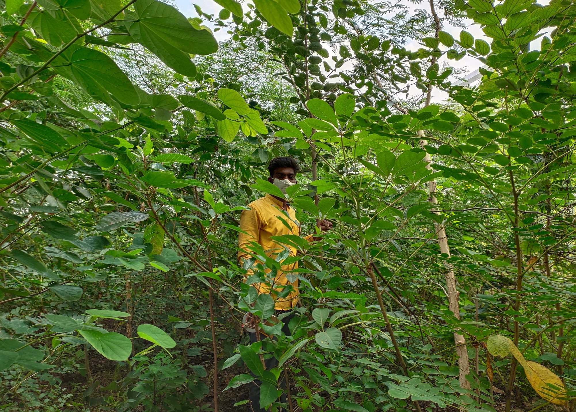 a man stands in a forest