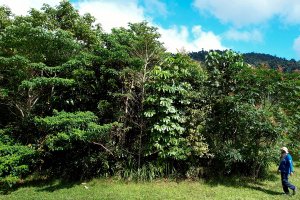 Project: Smith's Gap