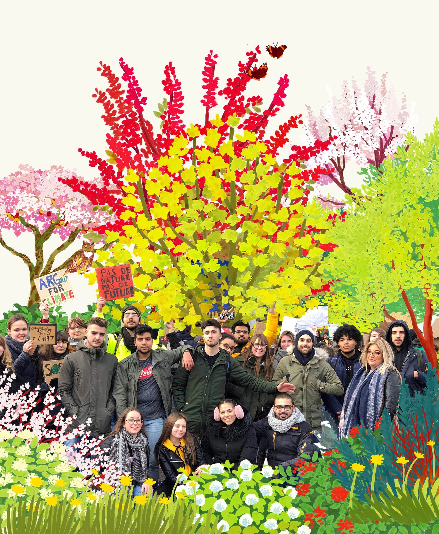 Gilly School Forest in Belgium