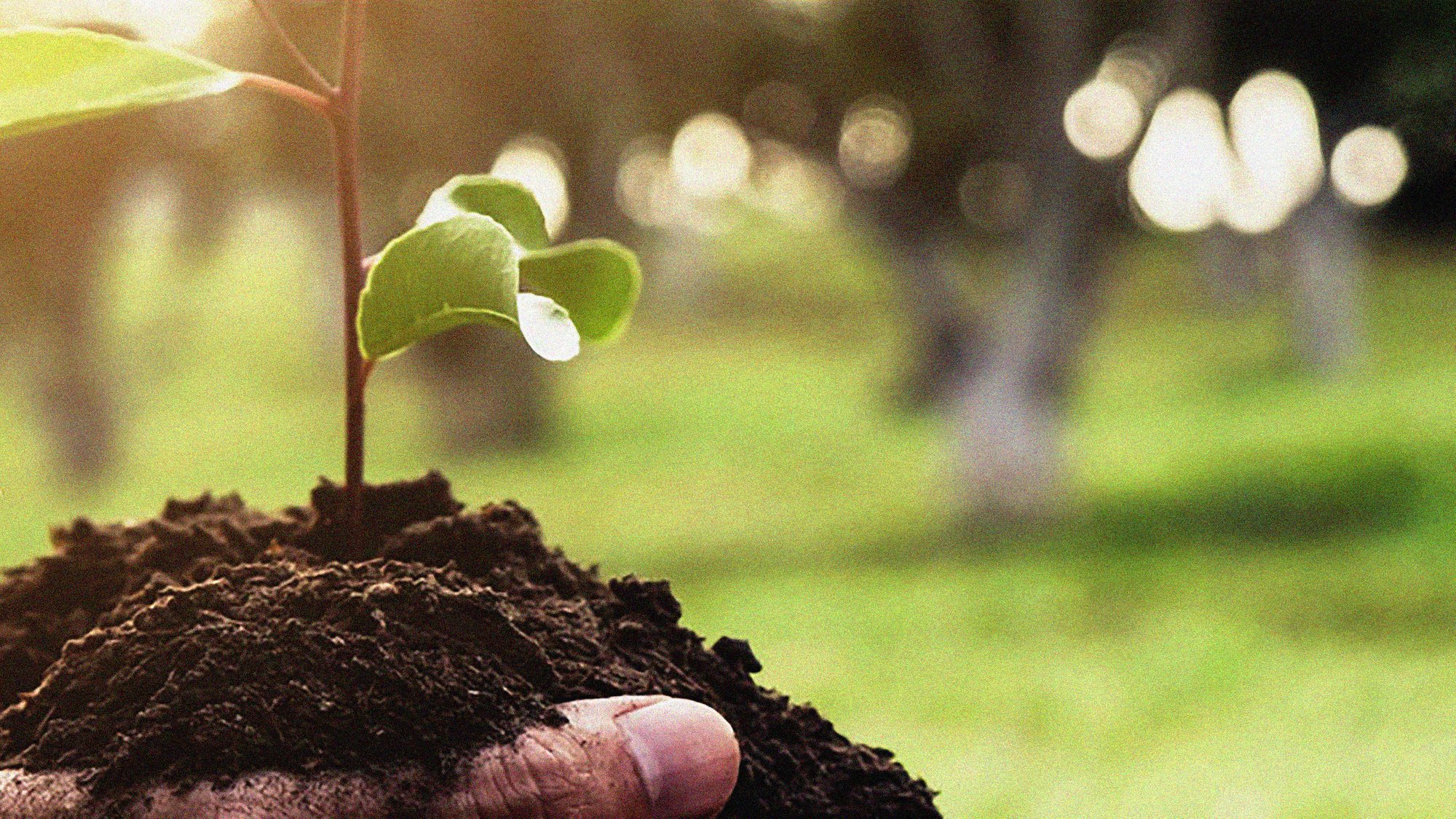 Ashoka x Vittel 'Act for Biodiversity Challenge'