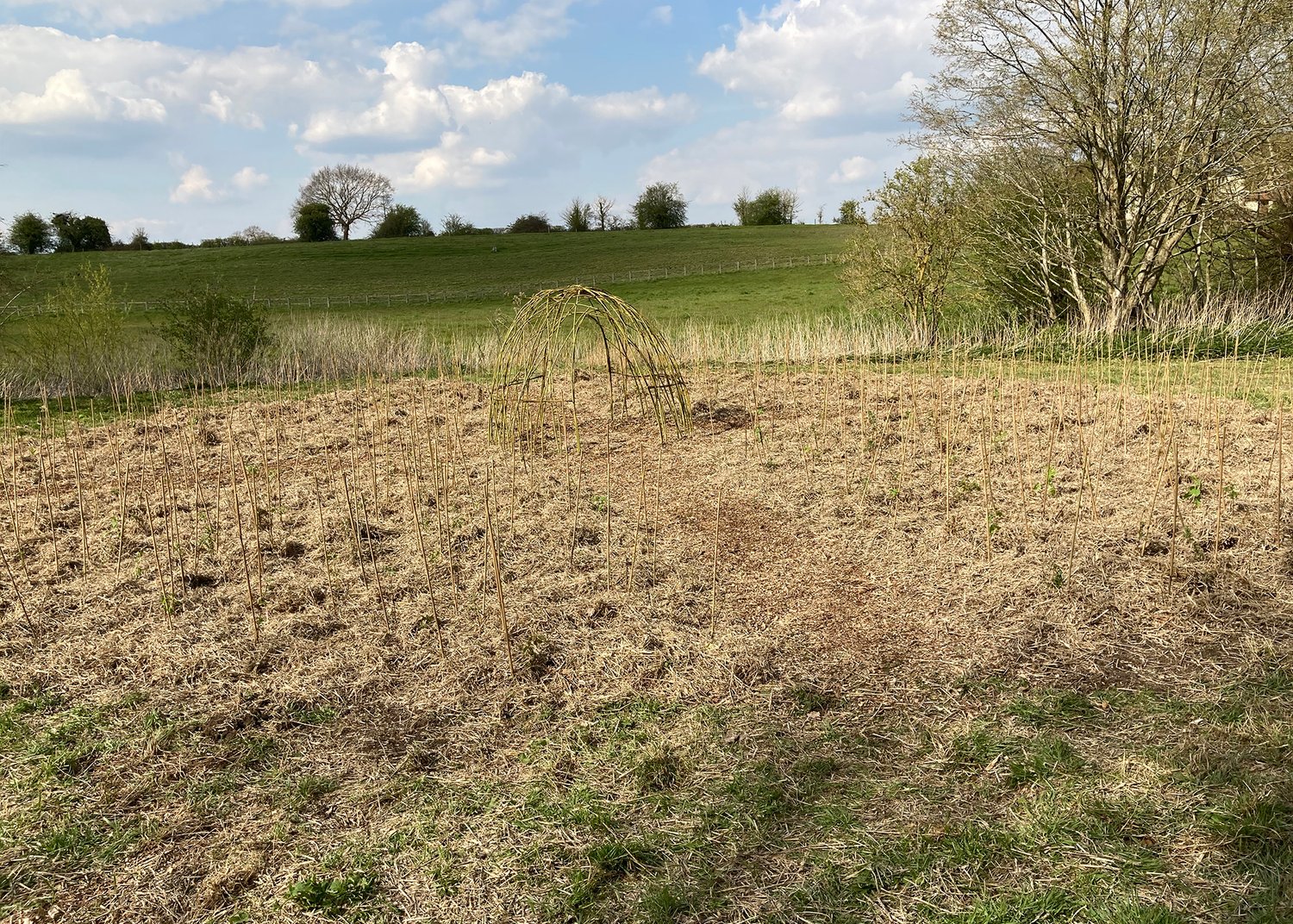 open field