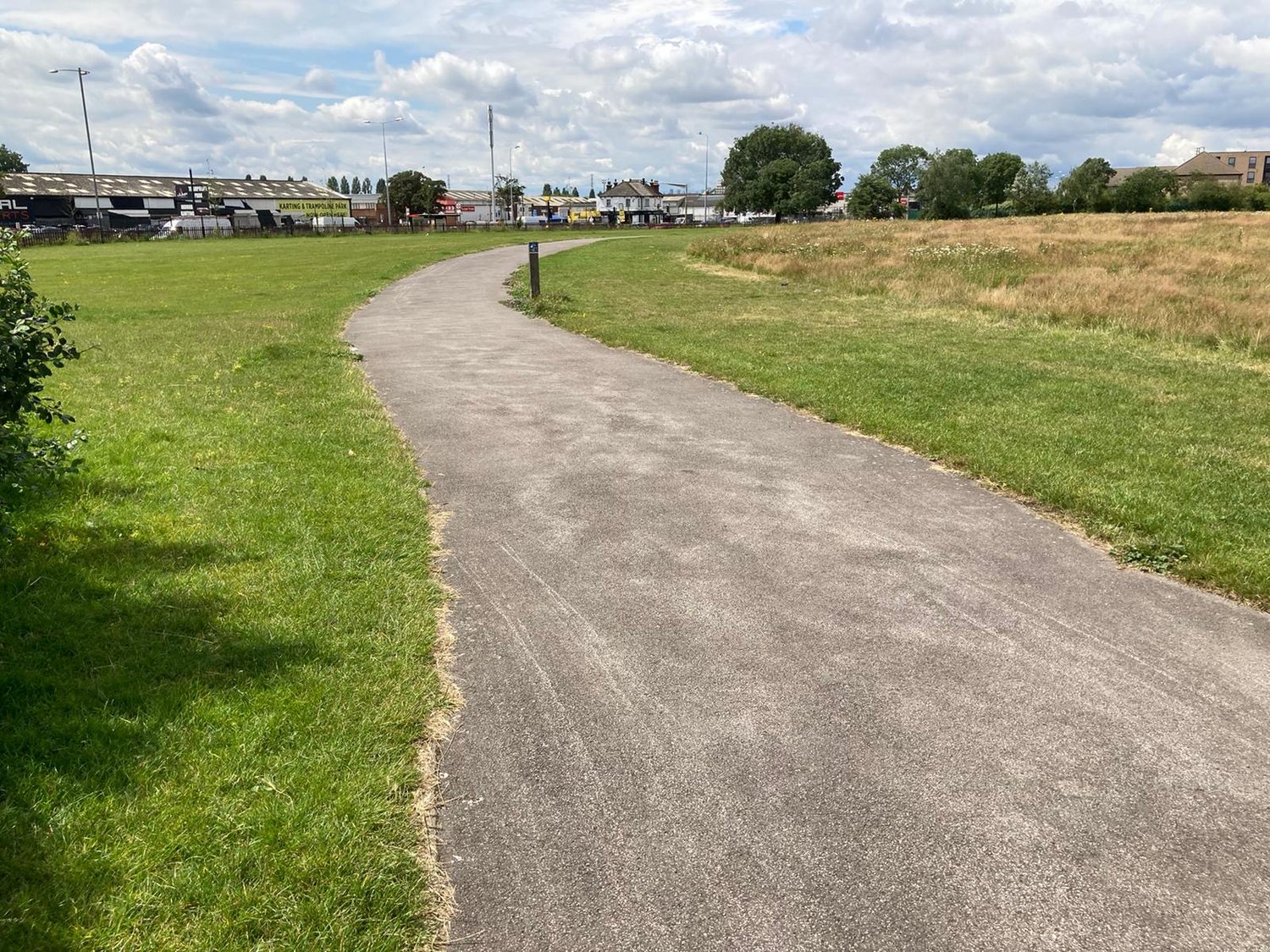 a path and green grass