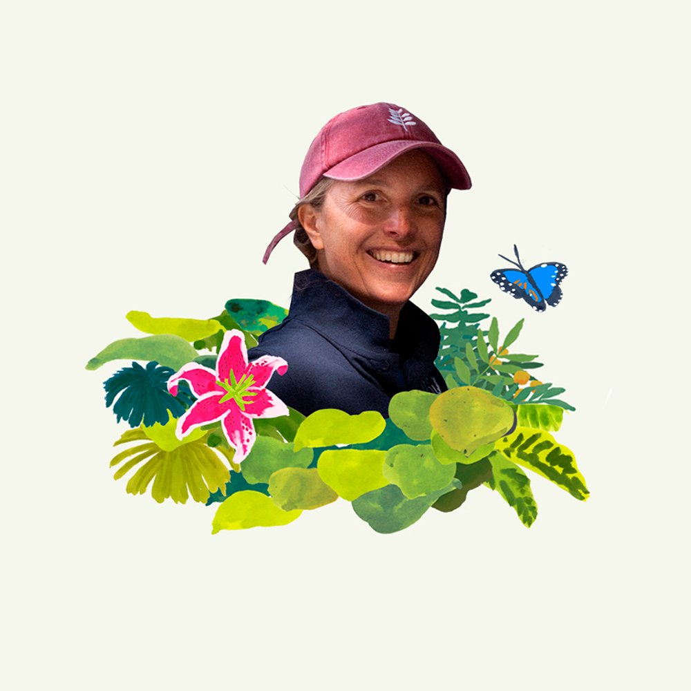 Elise, Sugi team