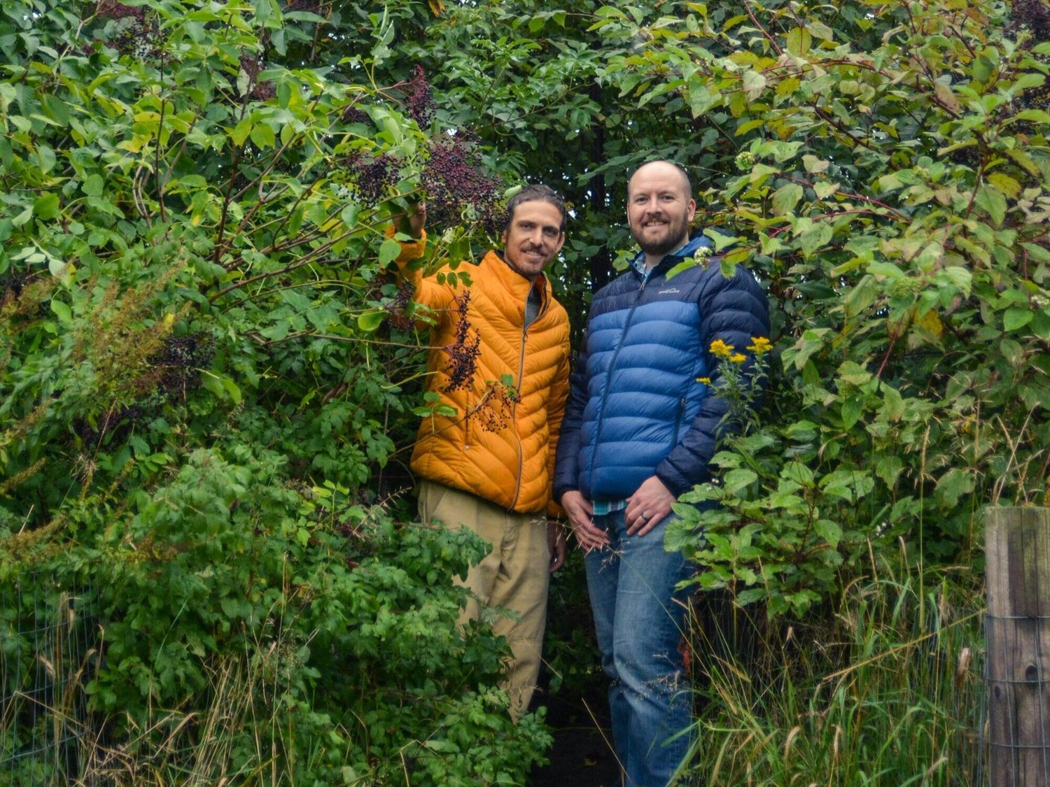 Plant forest, restore ecosystems in Washington State.