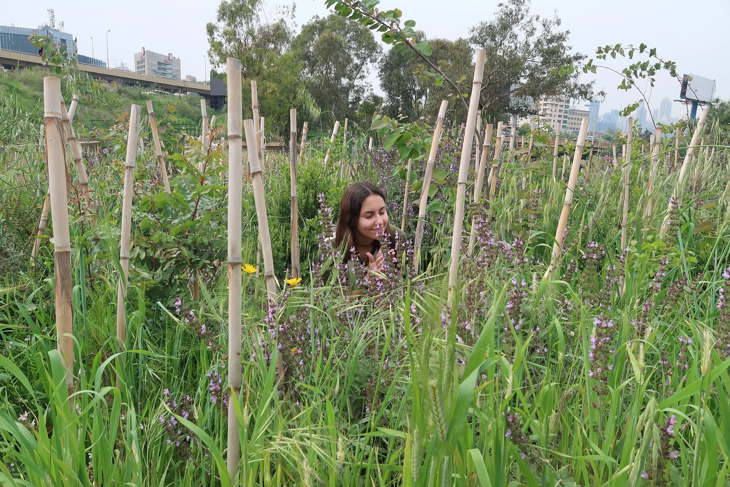 a woman in a field