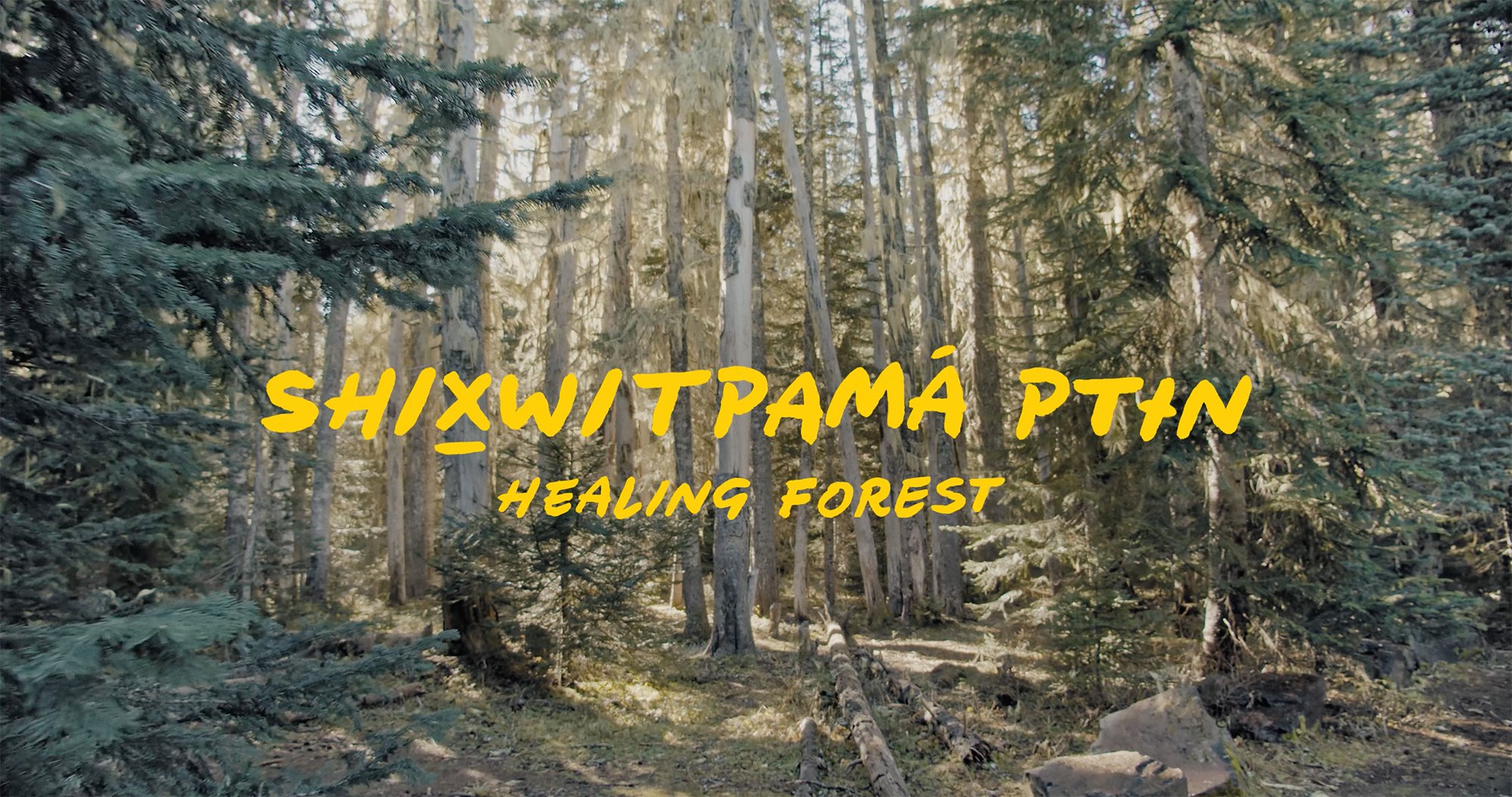 Yakima Nation Healing Forest 