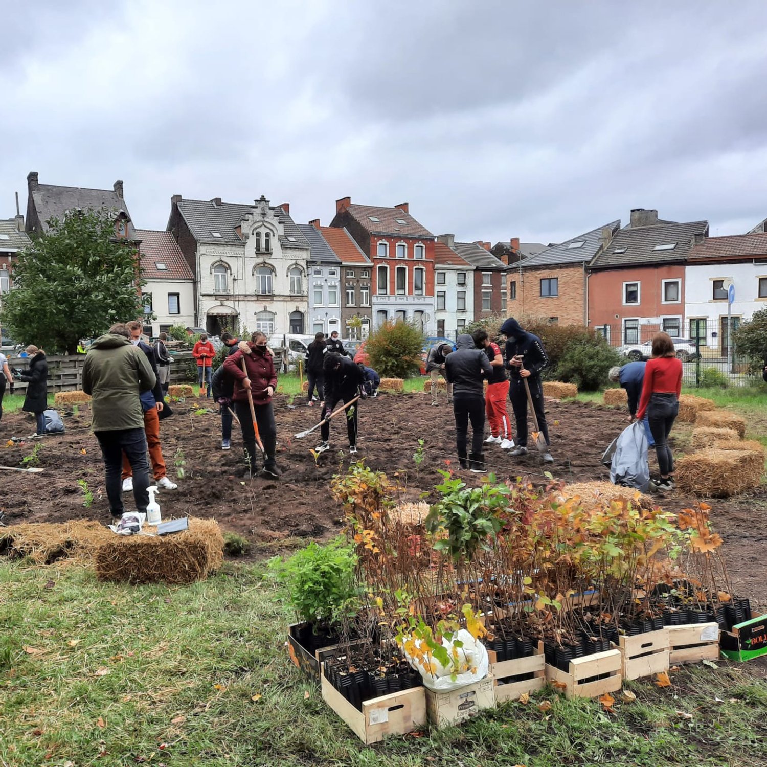 people plant trees