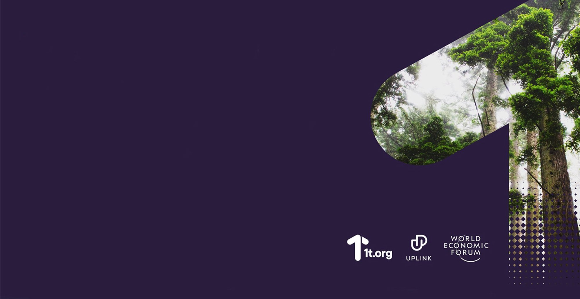 UpLink Trillion Tree Challenge