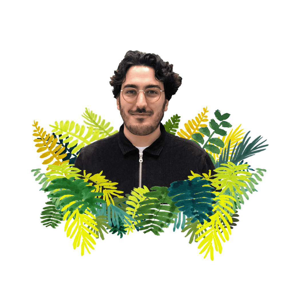 Daniel, Sugi team