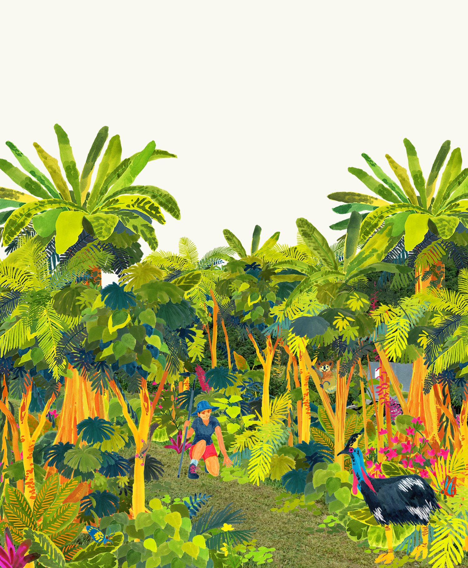 Reconnecting a strategic corridor for the endangered Southern Cassowary