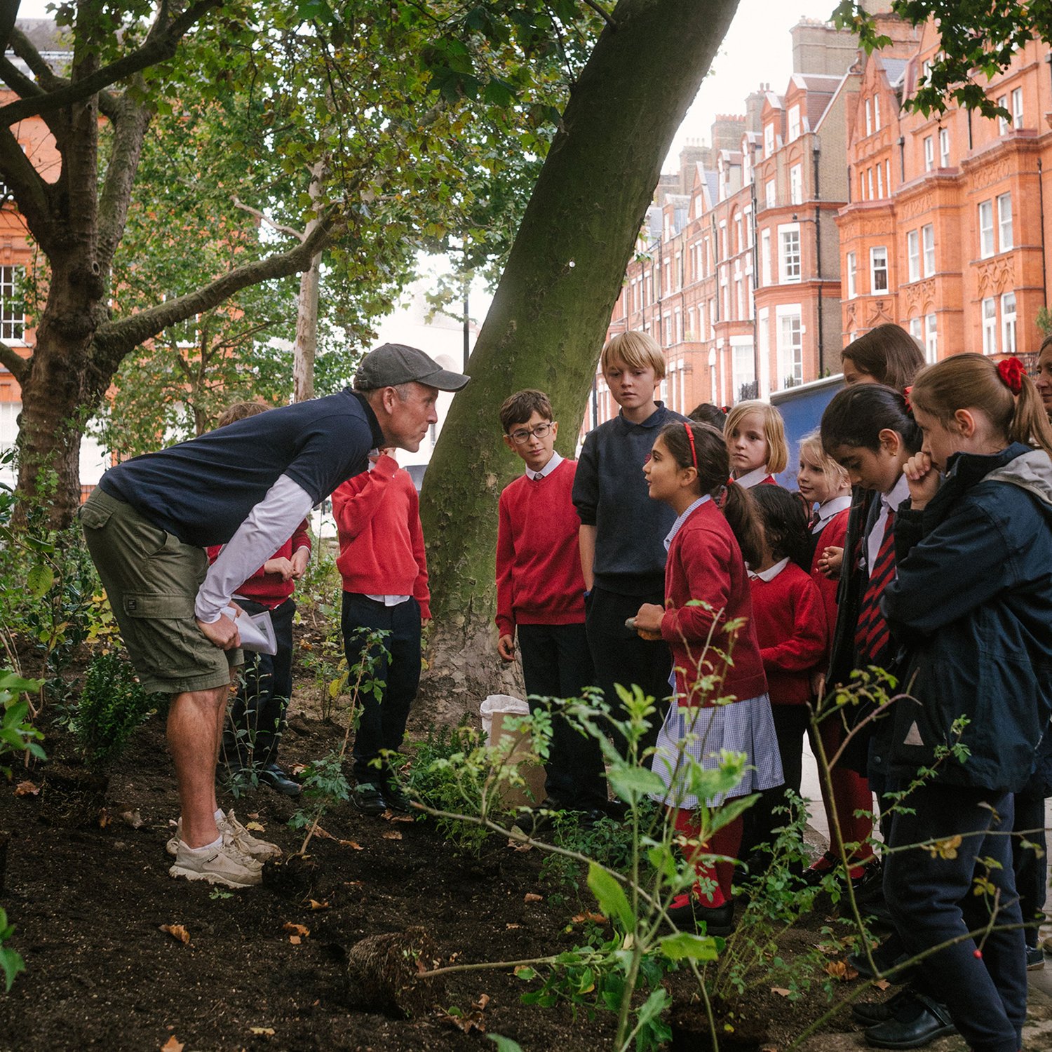 SUGi, Cadogan and Louis Vuitton launch Heritage Forest in London - The  Glass Magazine