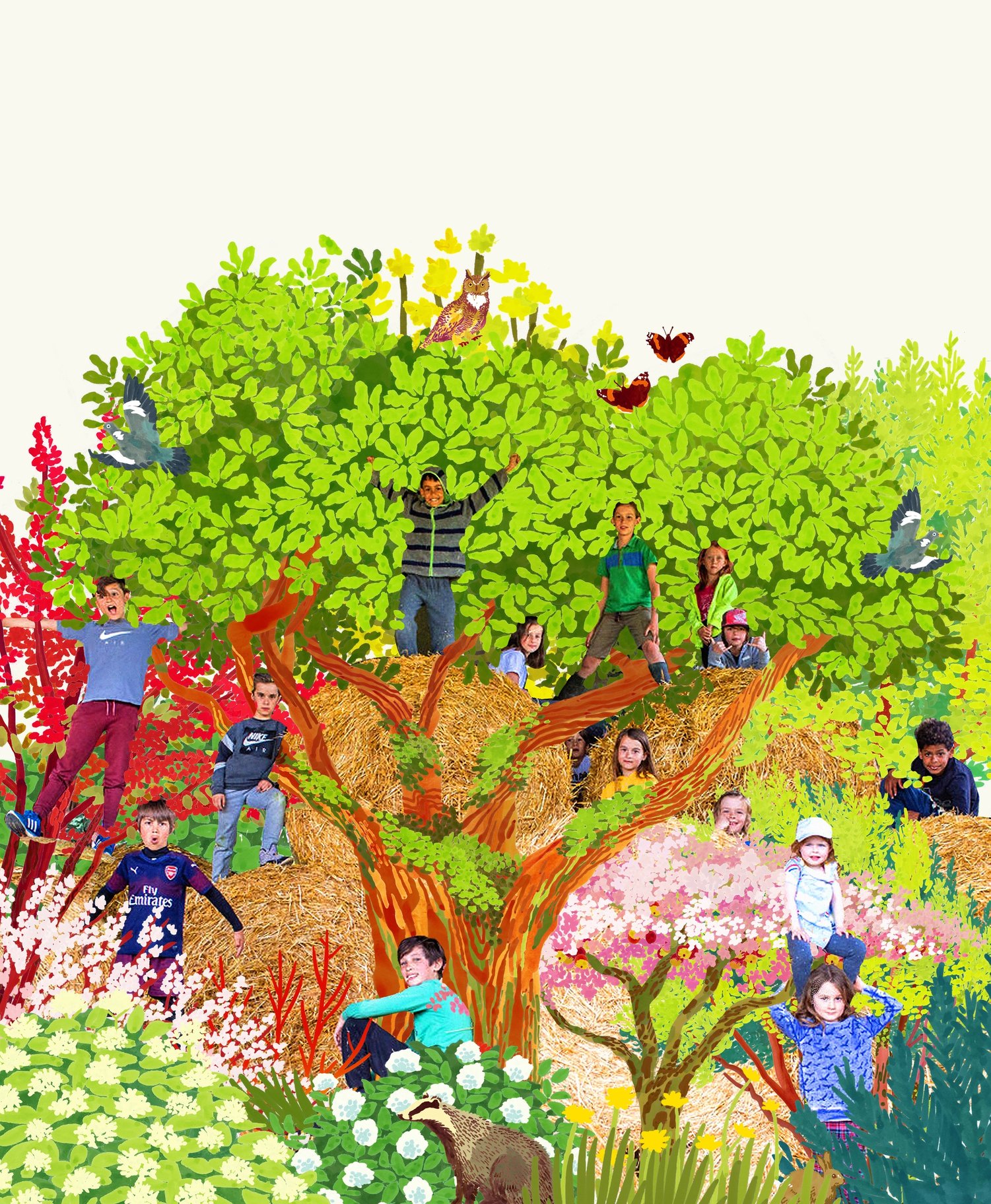 Plant a tree in England