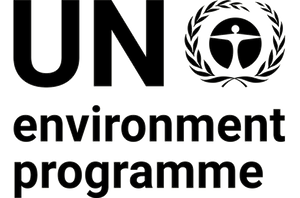UN Environment Programme sugi