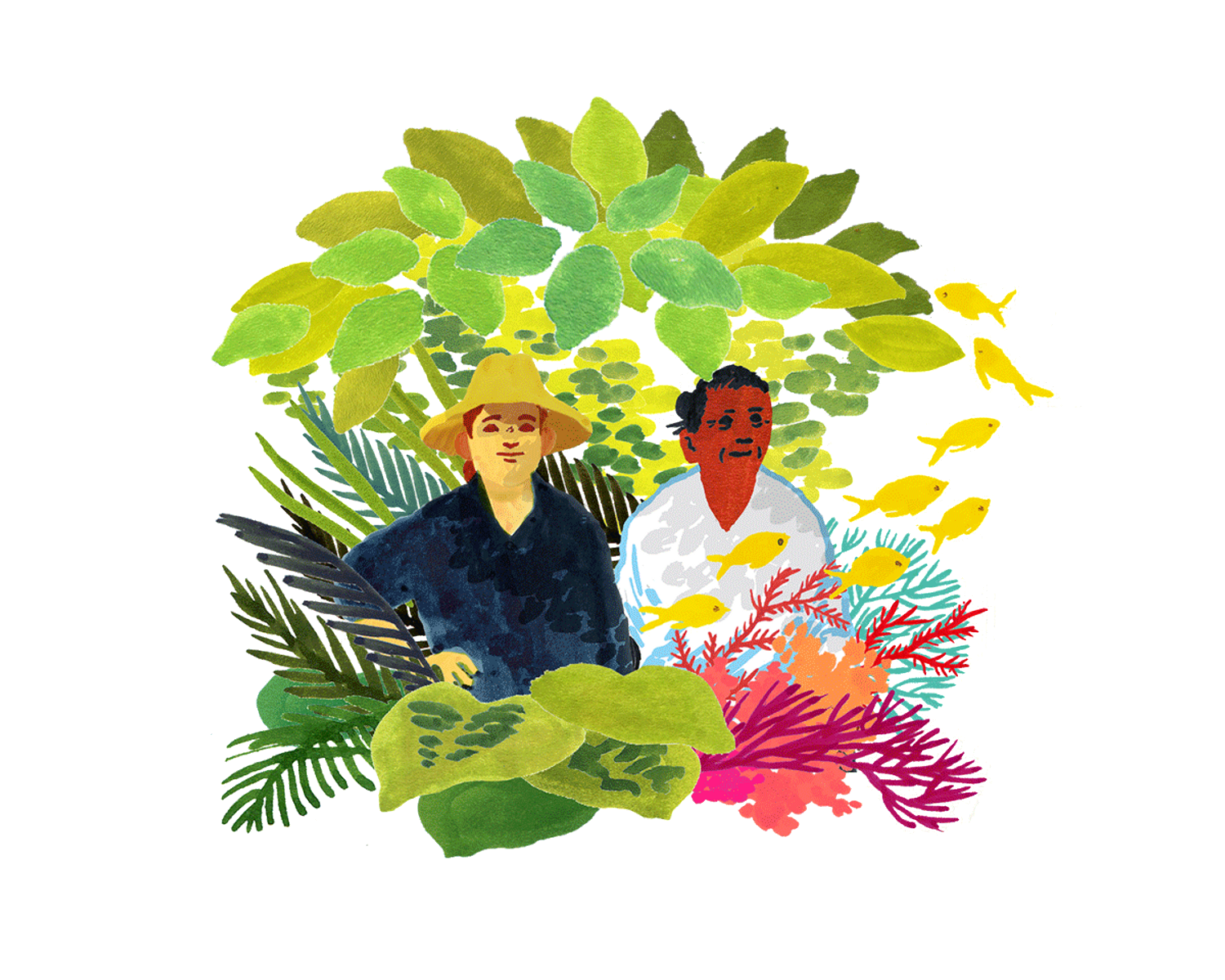 restore biodiversity with sugi