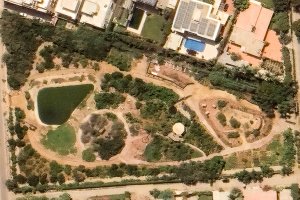 Project: Healing Forest