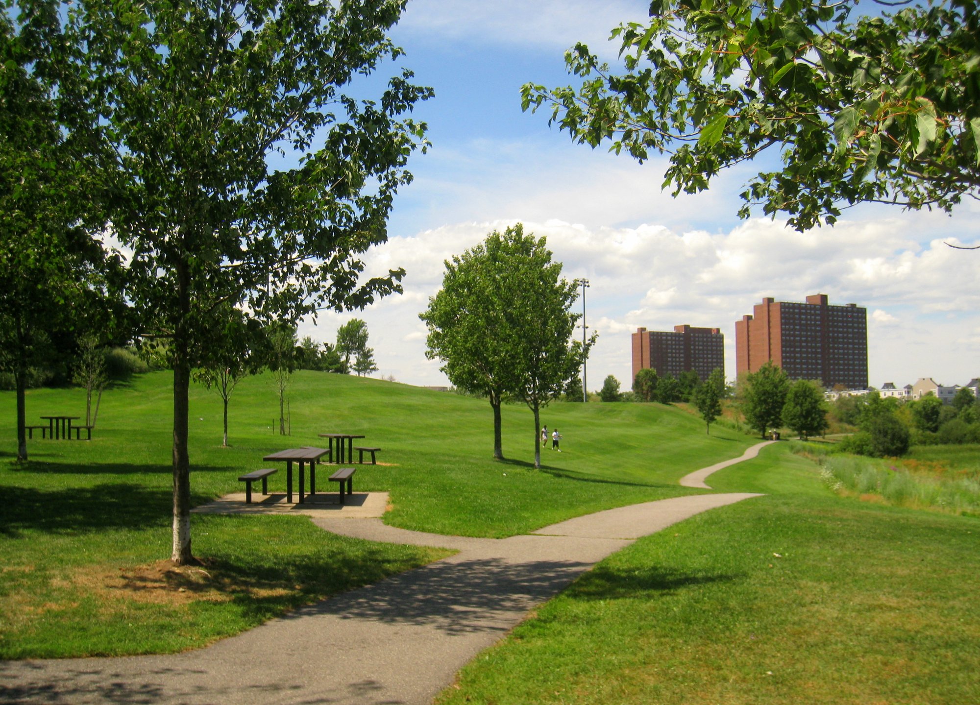 park with green grass, trees and a building