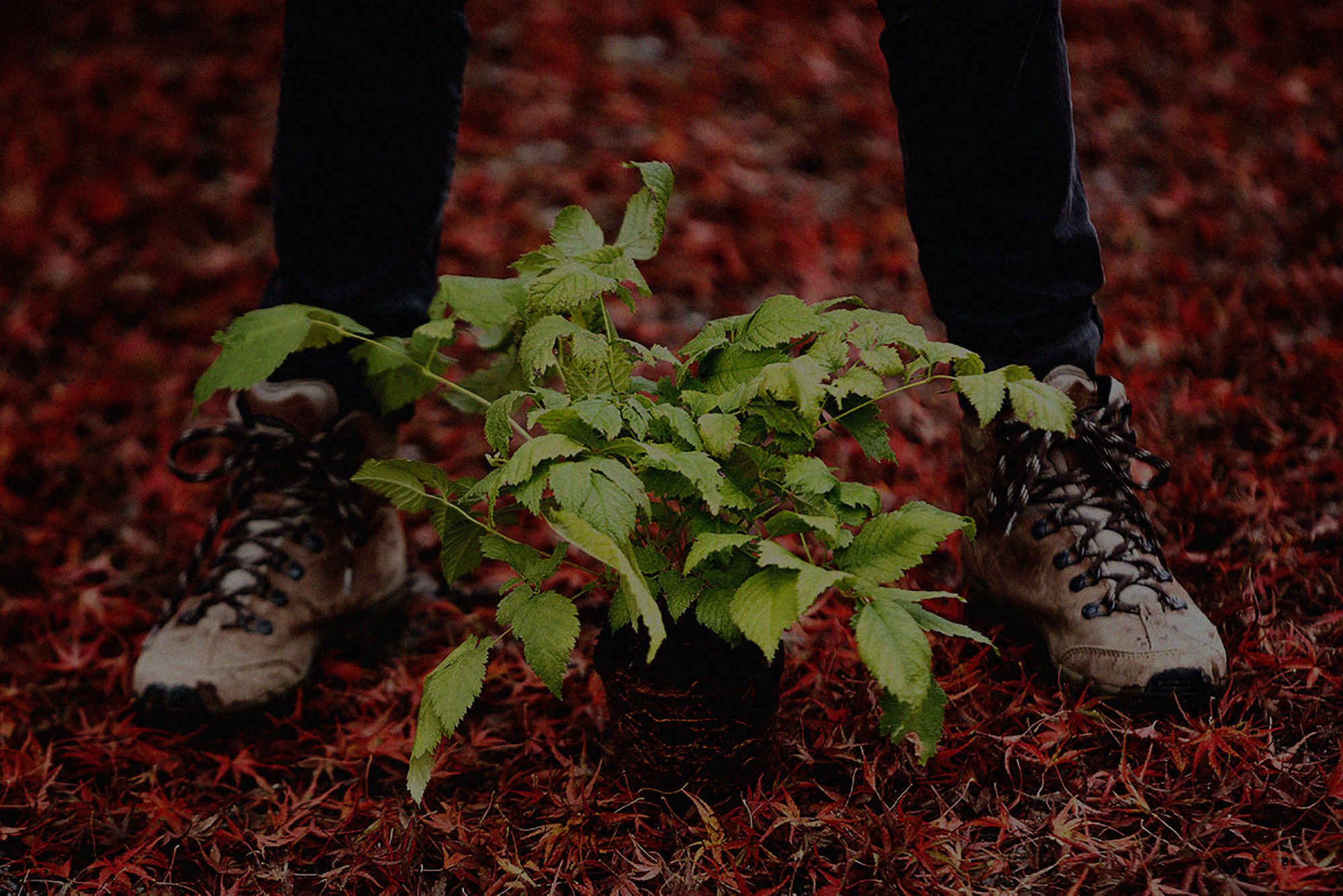 Arc'teryx  'Problem Solver'