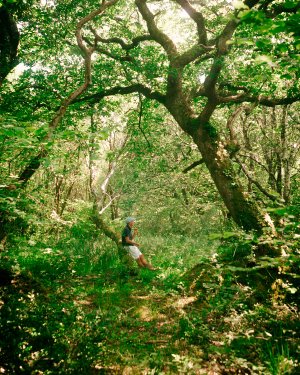 Maruvan sustainability projects Sugi 