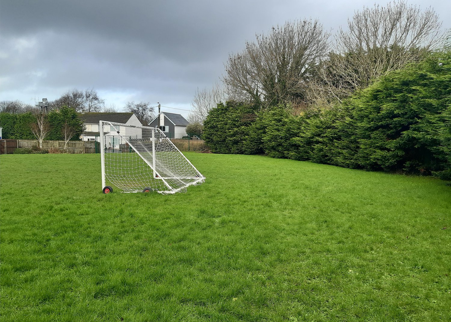 a green field with goal