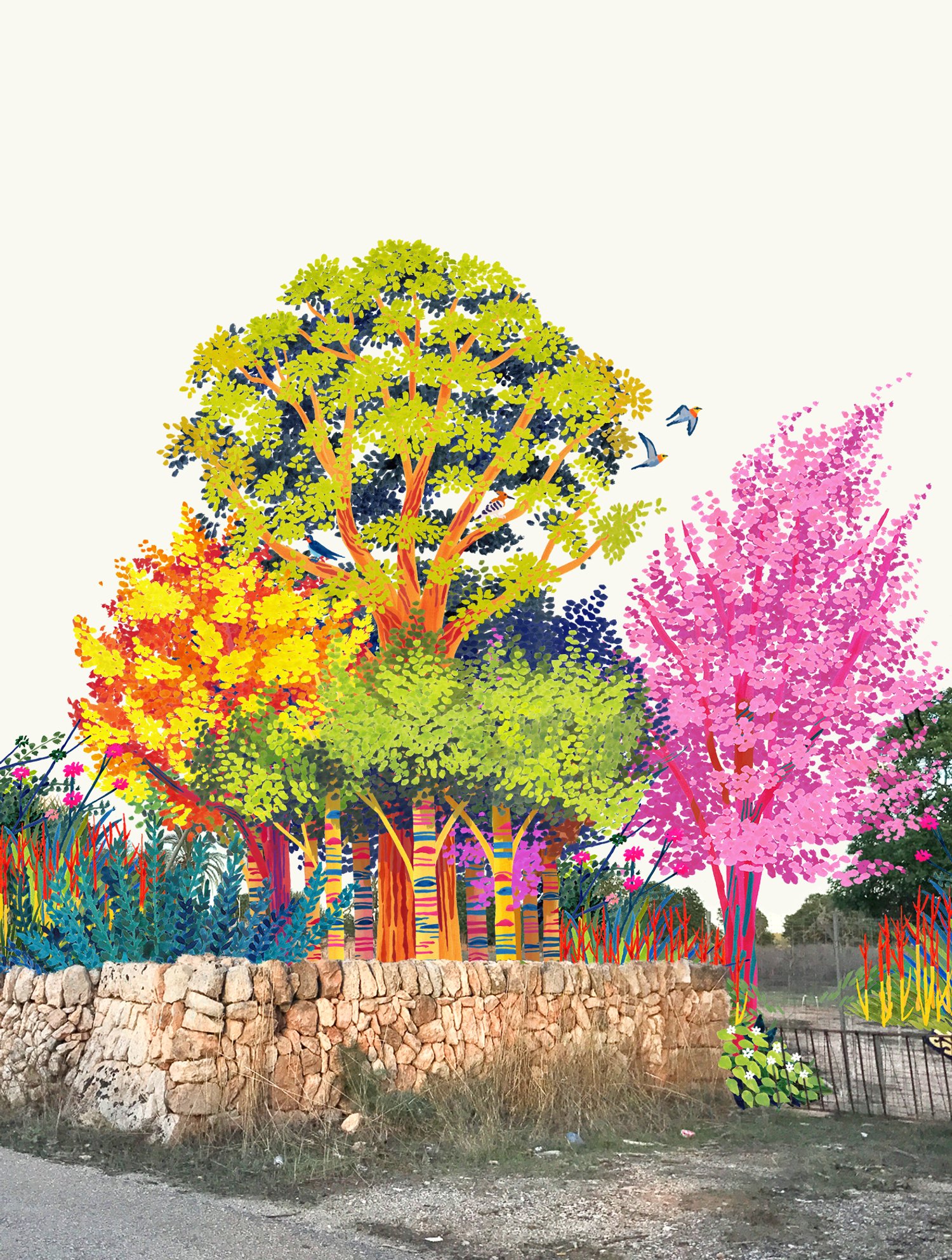 Build biodiversity in Mallorca, Spain.