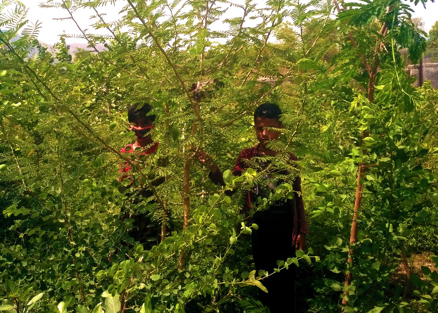kids stand in a green forest