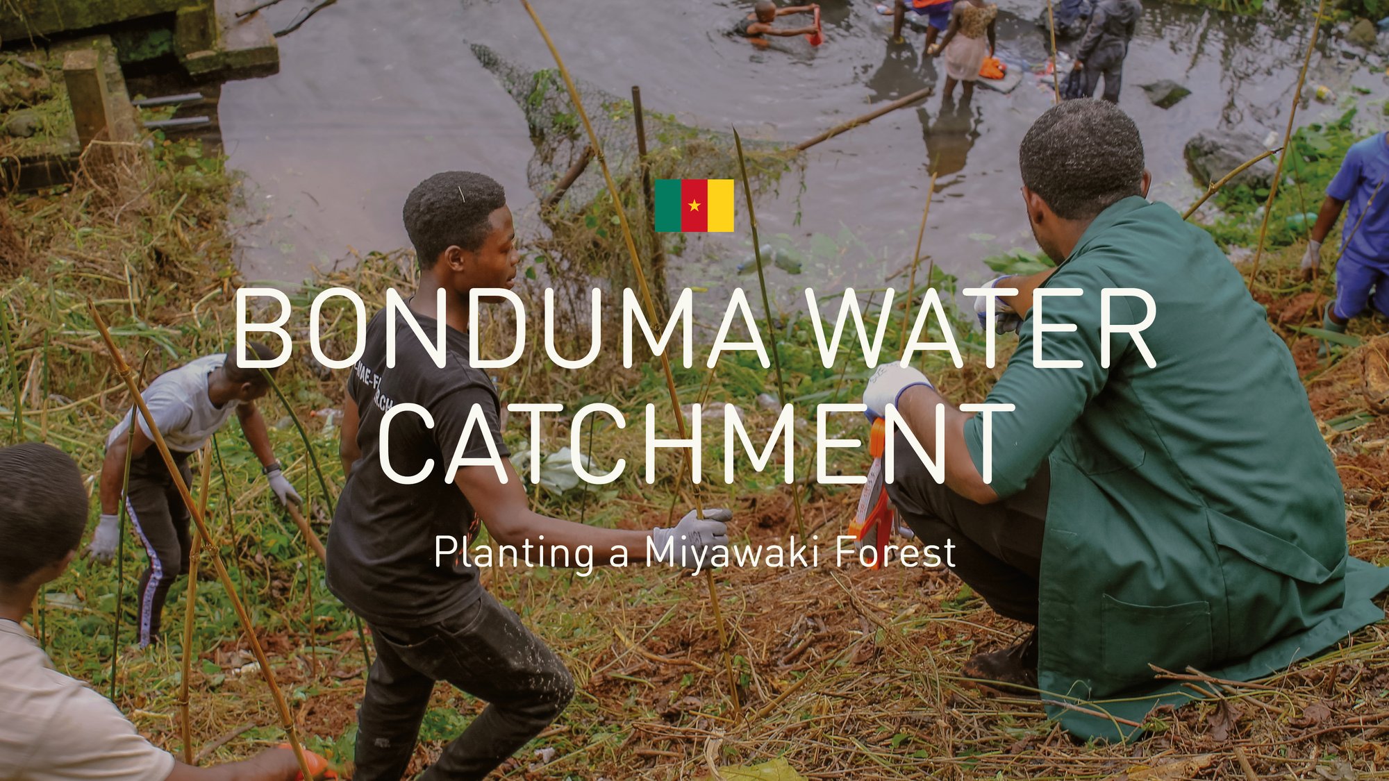 Plant a miyawaki forest in Cameroon