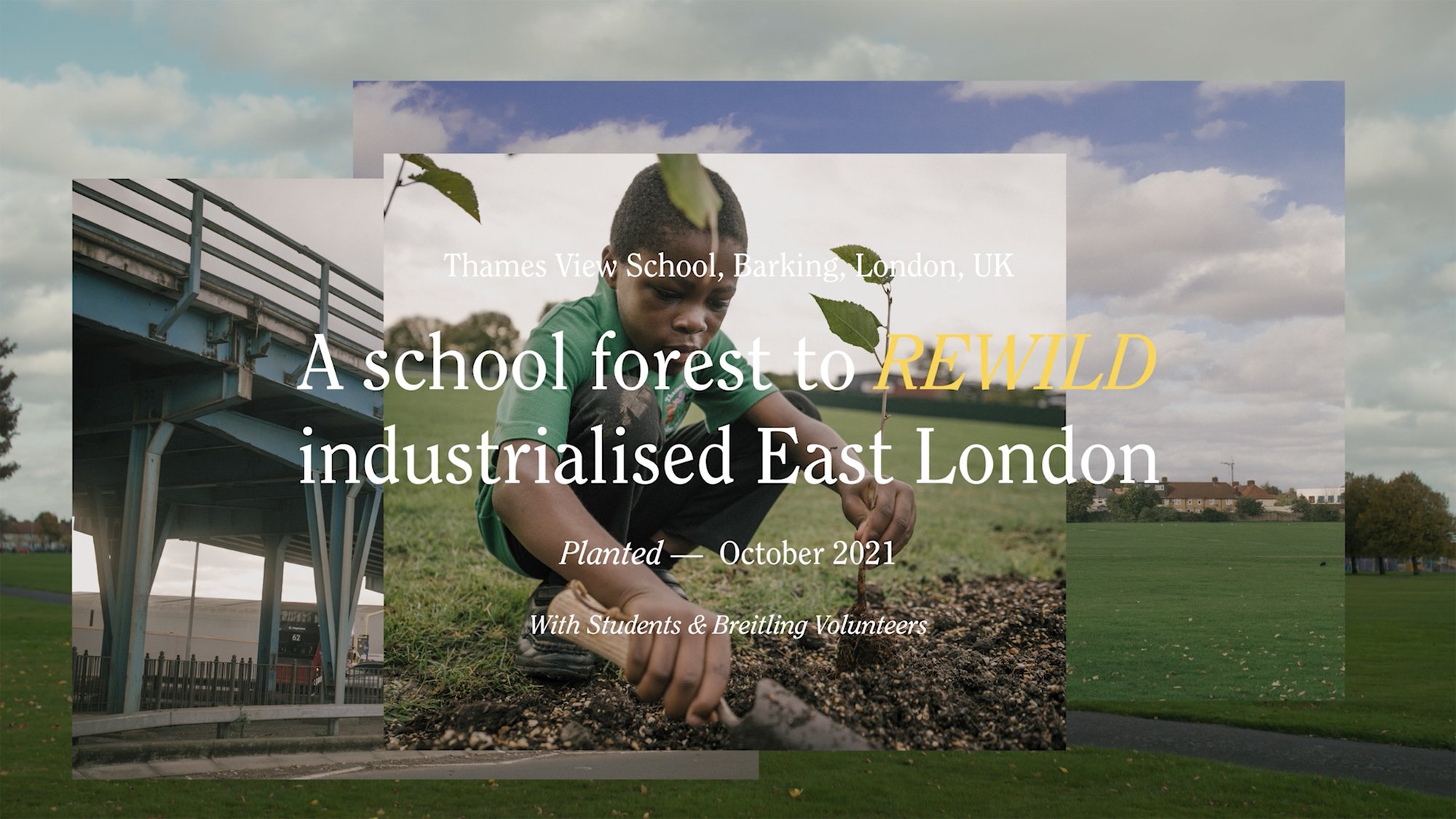 A School Forest to Rewild Industrialised East London — SUGi x Breitling 