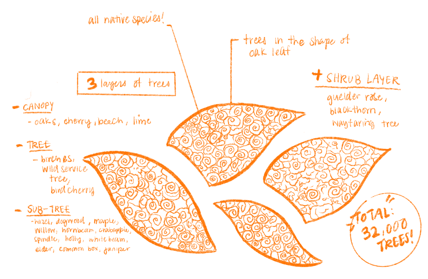 illustration of Forest of Thanks