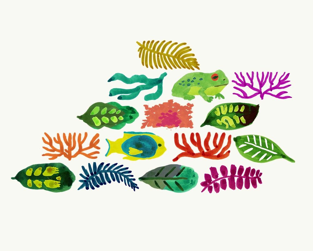 donate for biodiversity