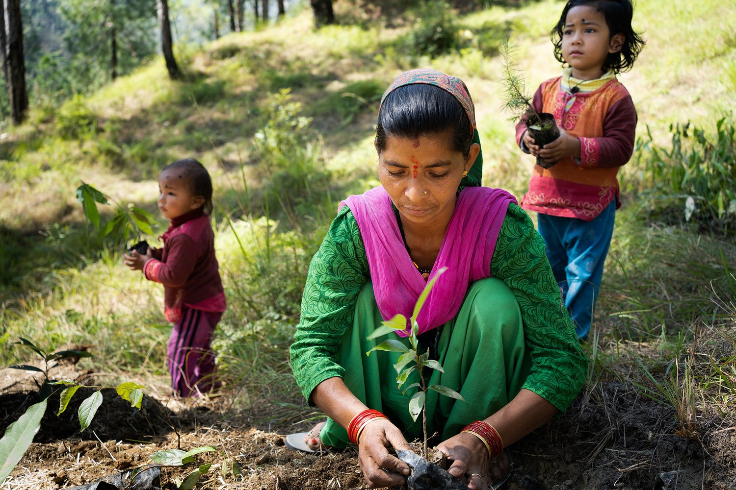 a woman and children plant saplings