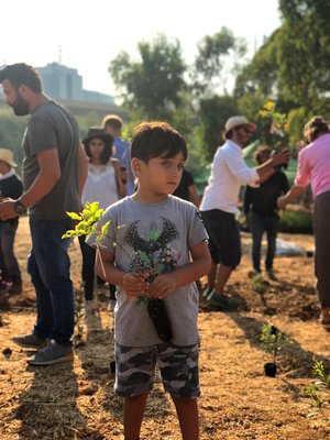 Beirut's Riverless Forest sustainability projects Sugi 