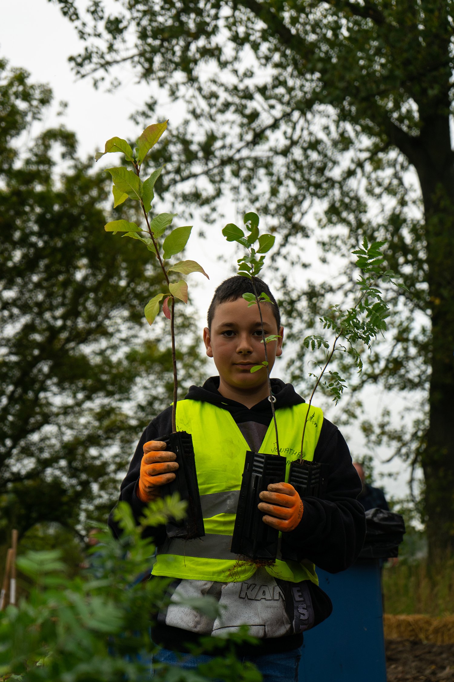 boy with green tree saplings