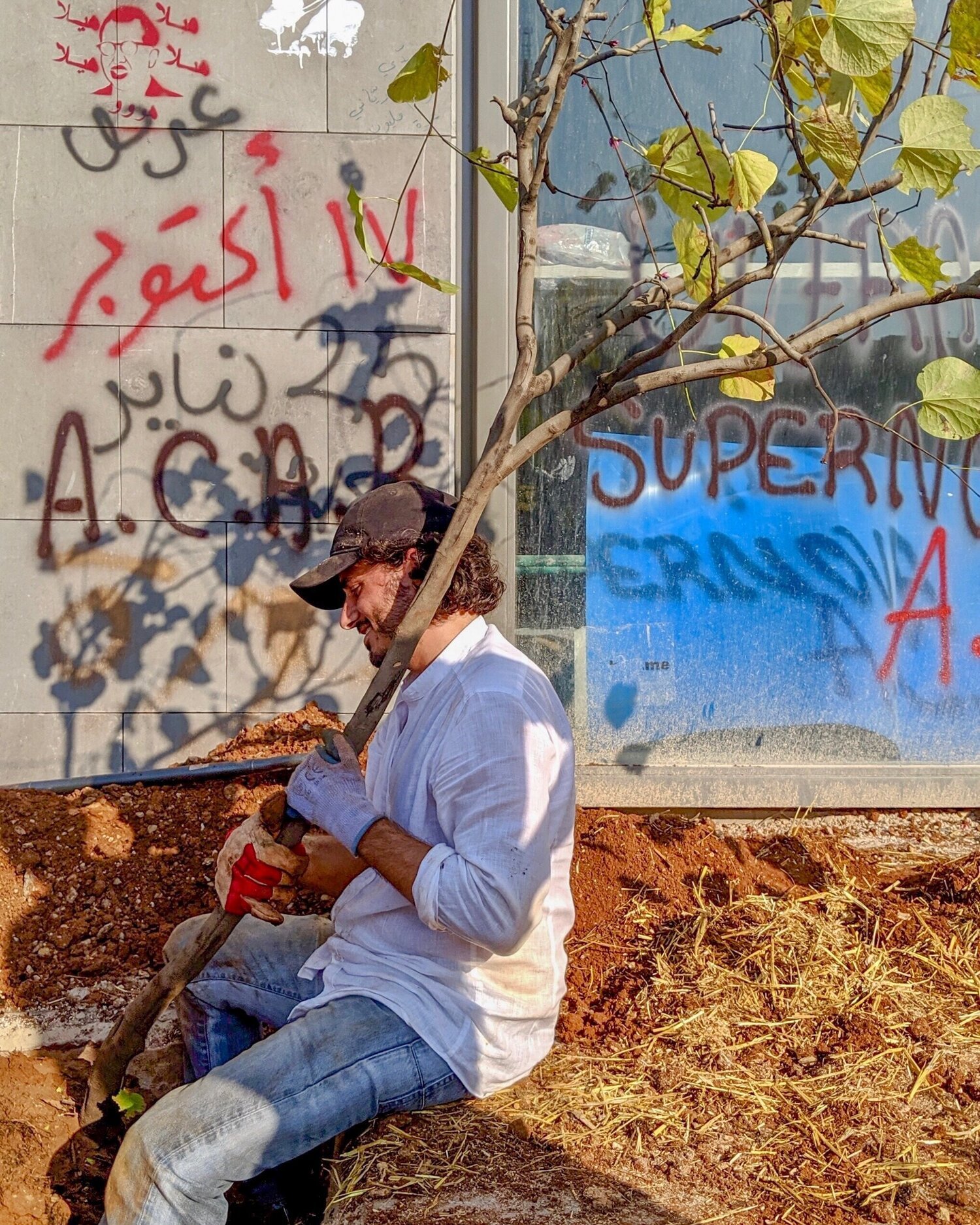 Plant a tree in Beiruit, Lebanon