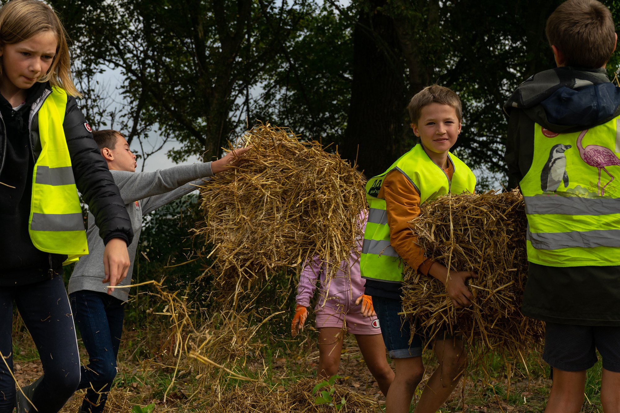 kids lift hay at a forest planting
