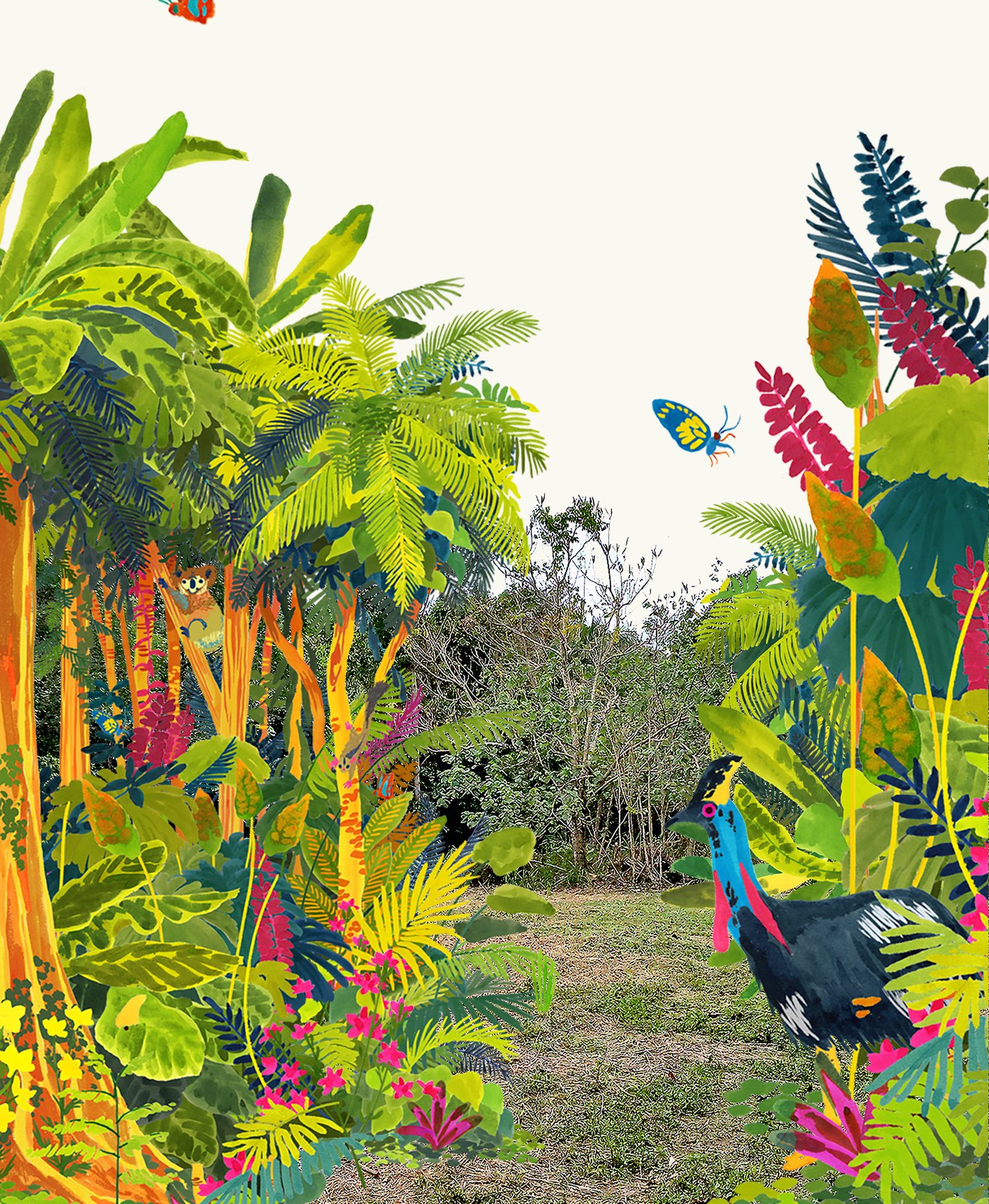 Biodiversity projects in Queensland, Australia.