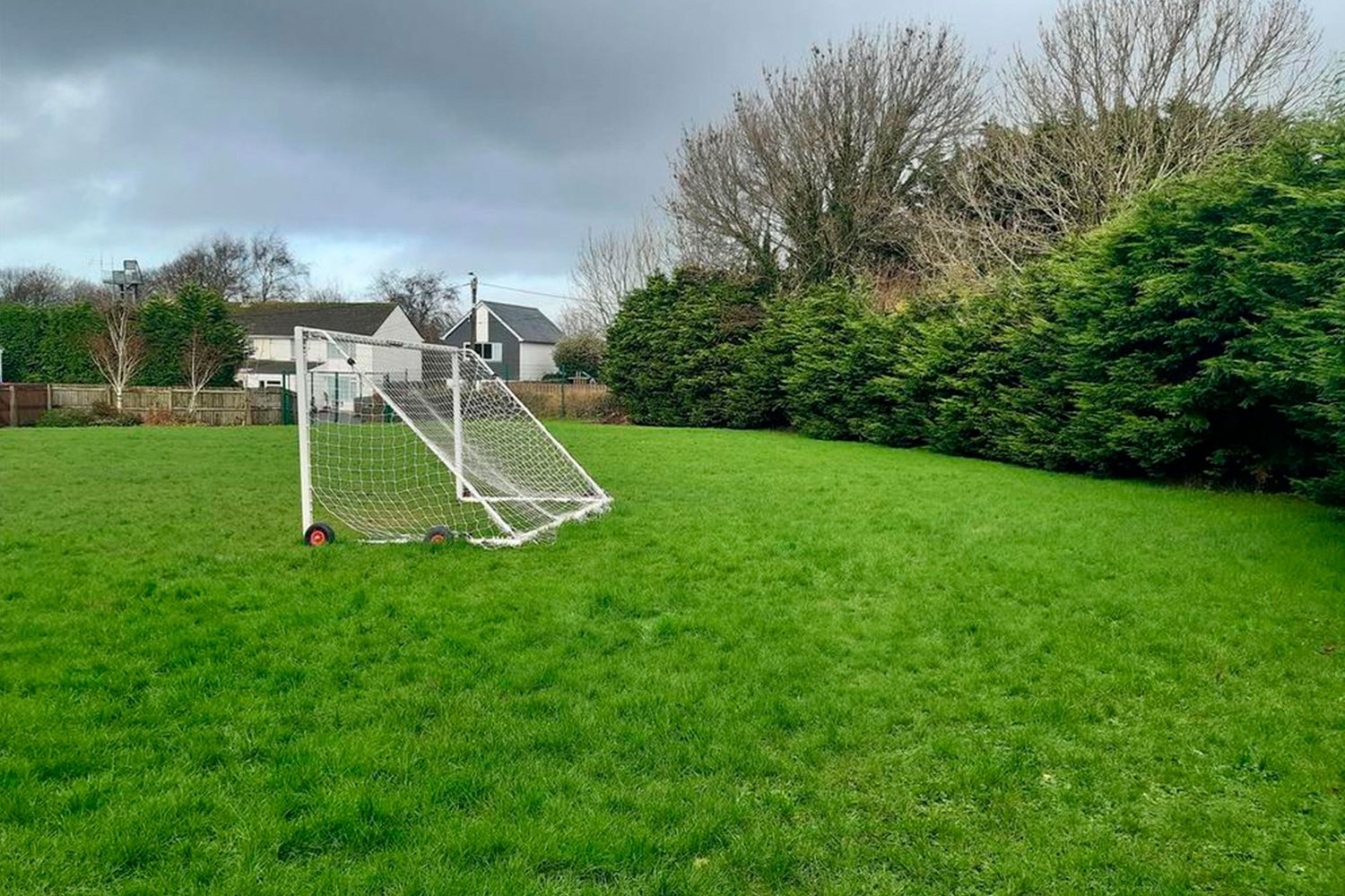 a green field with goal