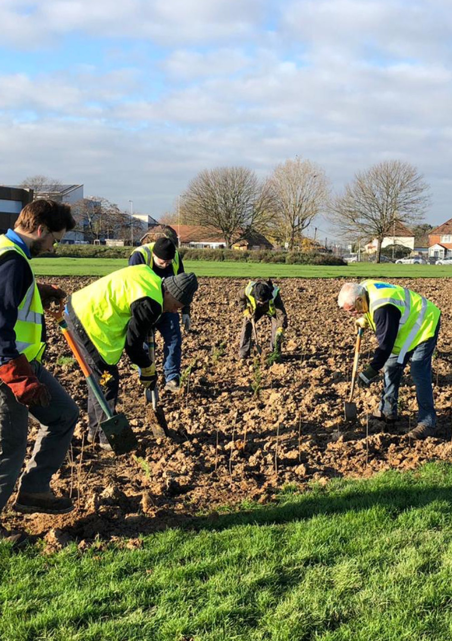 people dig in the dirt