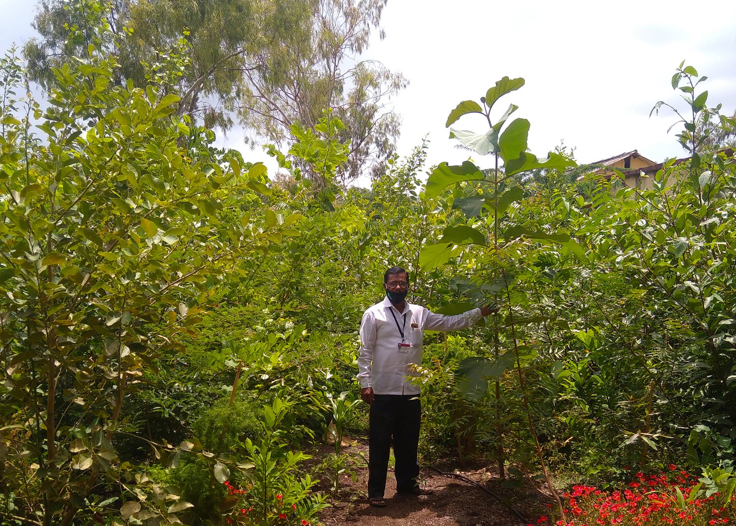 a man stands next to green trees