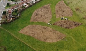 sustainability projects Sugi Forest of Thanks