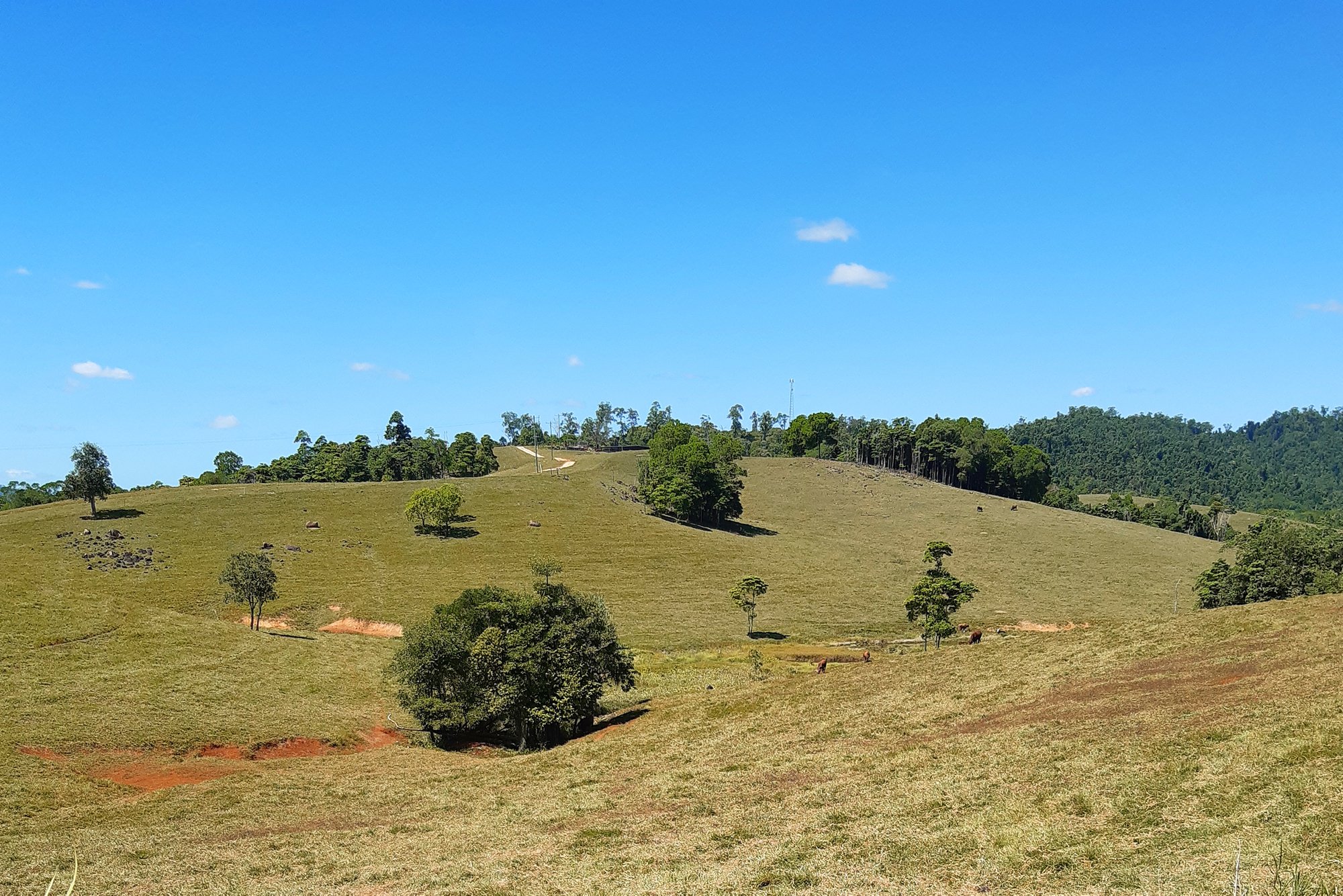 Dingo Pocket in Queensland Australia
