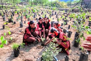 Project: Green Schools 