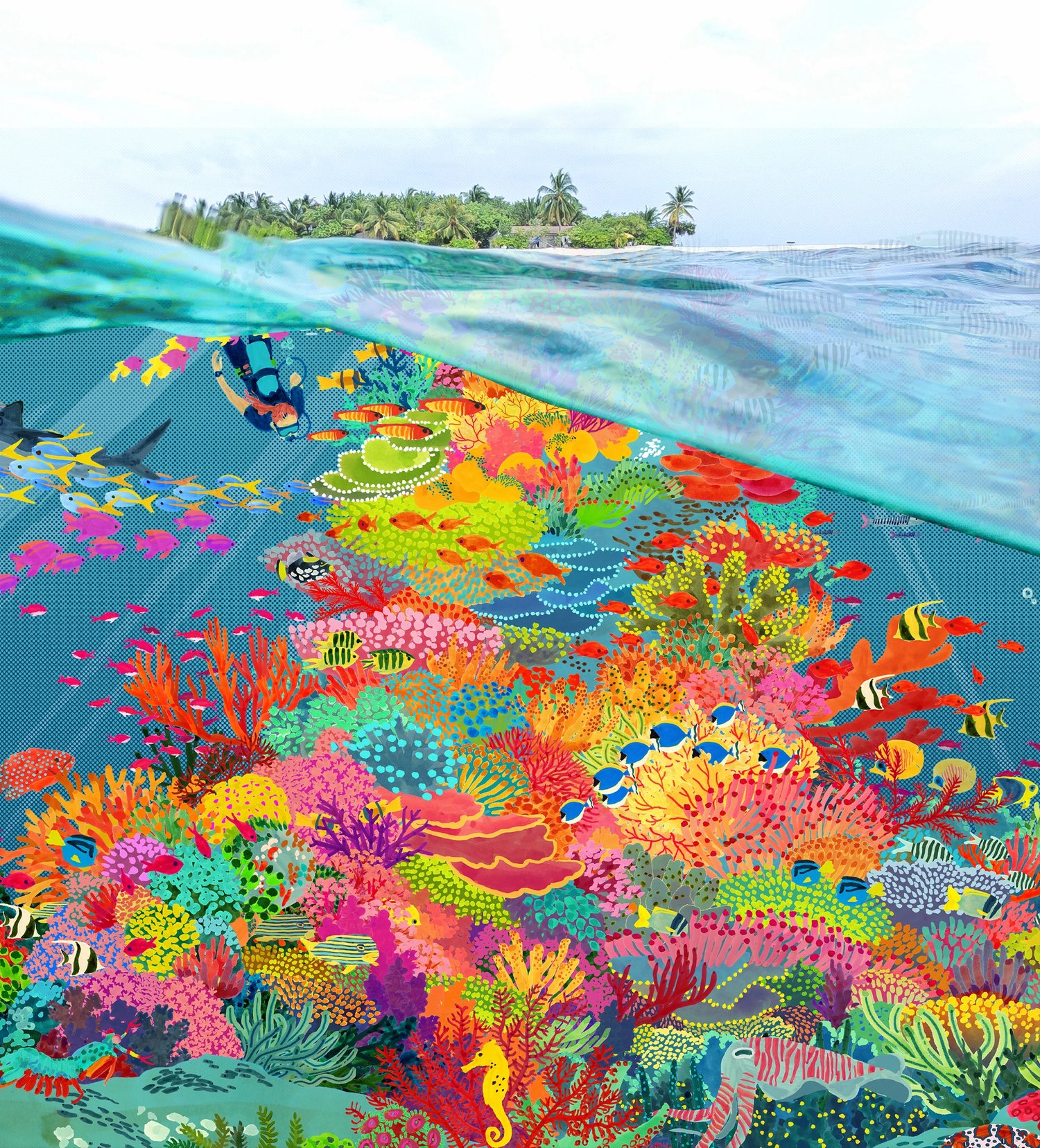 Coral farm sustainability project