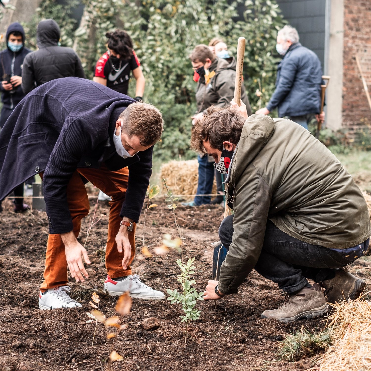 man kneels in dirt planting tree