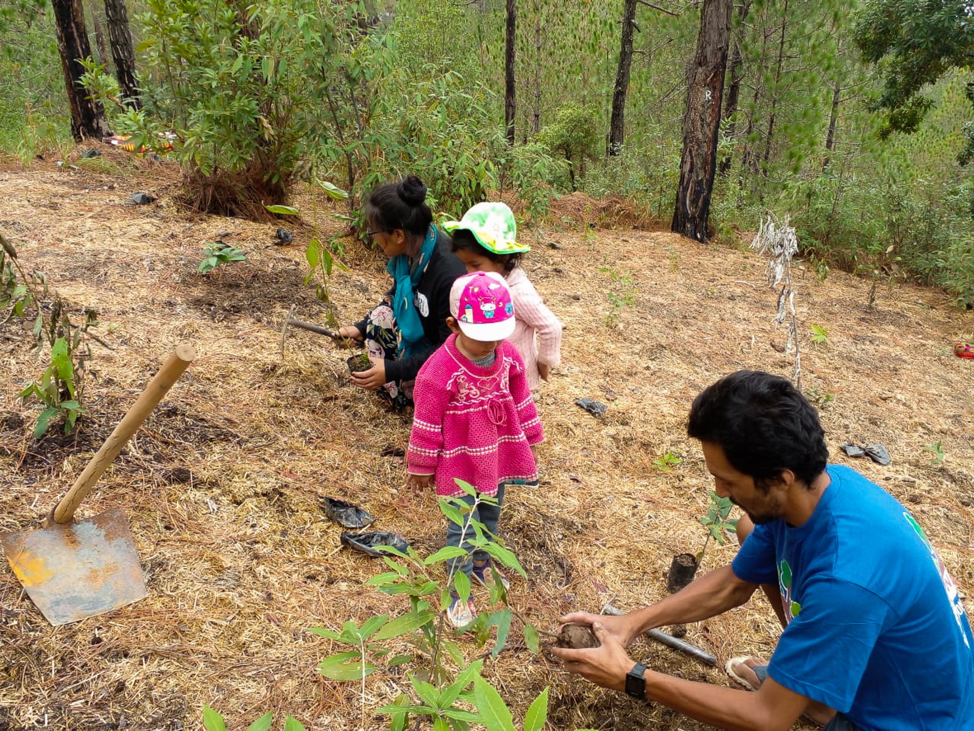 a girl holds a sapling next to a butterfly