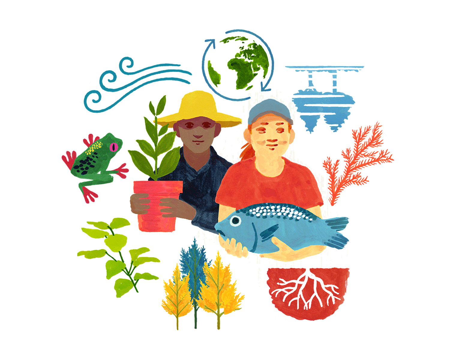 Benefits of biodiversity sugi